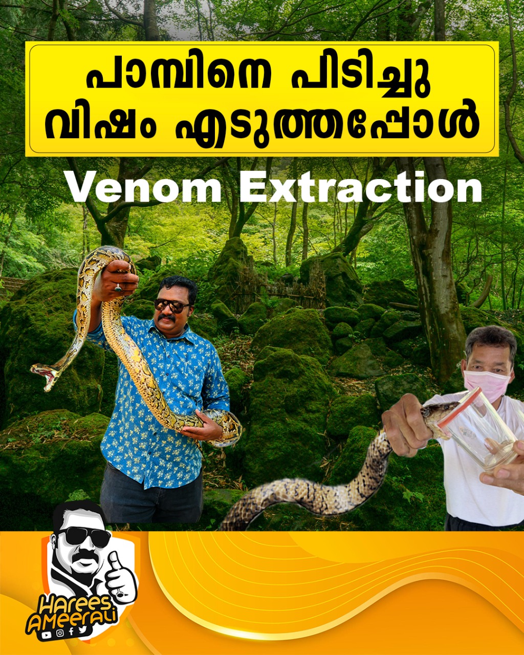 Snake Venom Extraction - Thailand Travel