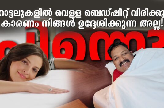 ഹോട്ടലുകളിൽ വെള്ള ബെഡ്ഷീറ്റ് വിരിക്കുന്ന കാരണം നിങ്ങൾ ഉദ്ദേശിക്കുന്ന അല്ല! പിന്നെ?